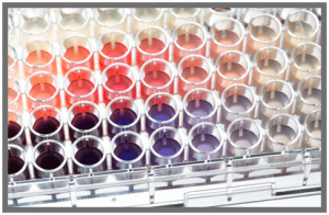ServiceTrak Immunoassay - IMV Medical Information Division